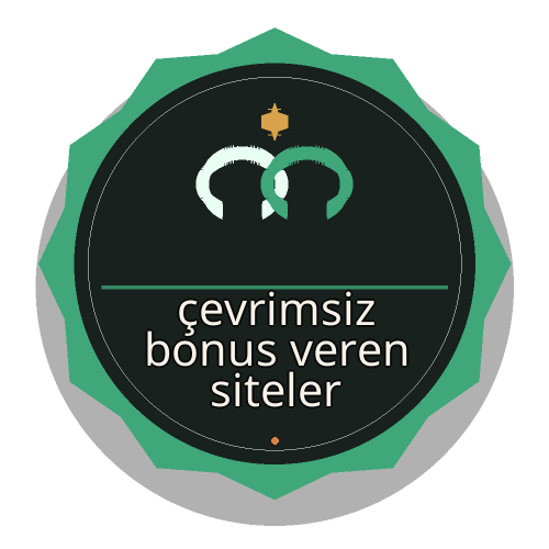 Bonus Koşulları Rehberi logosu